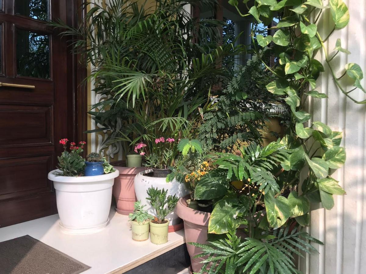 Jeenmount Heritage Boutique Hotel جايبور المظهر الخارجي الصورة